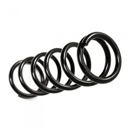 Front coil springs BDS Pro-Ride Lift 2"