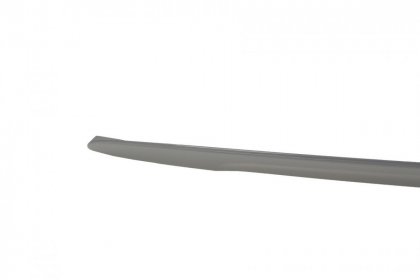 Lotka Lip Spoiler - BMW F82 14-16 2D M4 P TYPE (ABS)