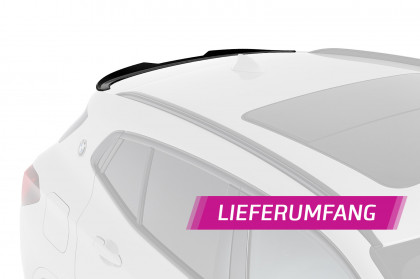 Heckflügel mit ABE für BMW X2 F39 HF847-C