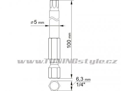 Sada bitů 1/4" 2 ks TORX L=100 mm T10, T25