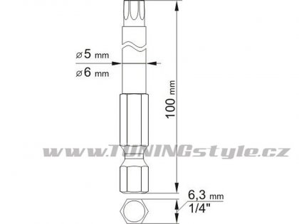 Sada bitů 1/4" 2 ks TORX L=100 mm T15, T27