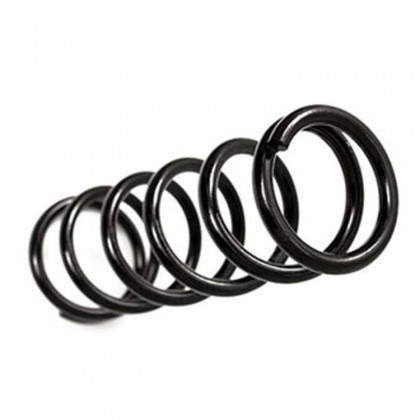 Front coil springs BDS Pro-Ride Lift 4"