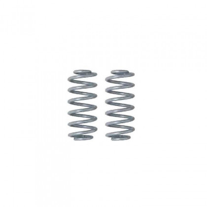 Rear coil springs Rough Country Lift 4"