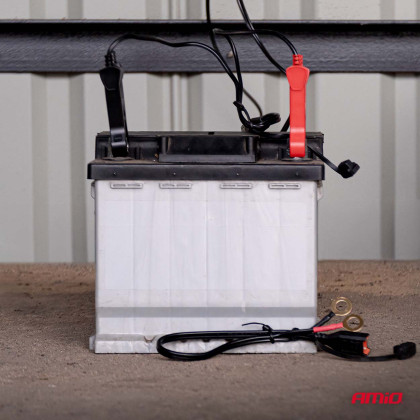 Nabíječka digitální AGM GEL STD LiFePo4 MAX 6A 6/12V PRO HOOK AMIO-04532