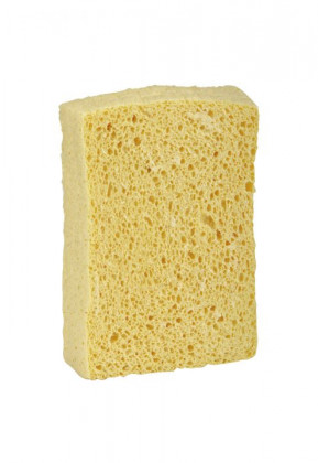 Car Sponge houbička
