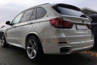 Lemy blatníků TFB BMW X5 F15 13-